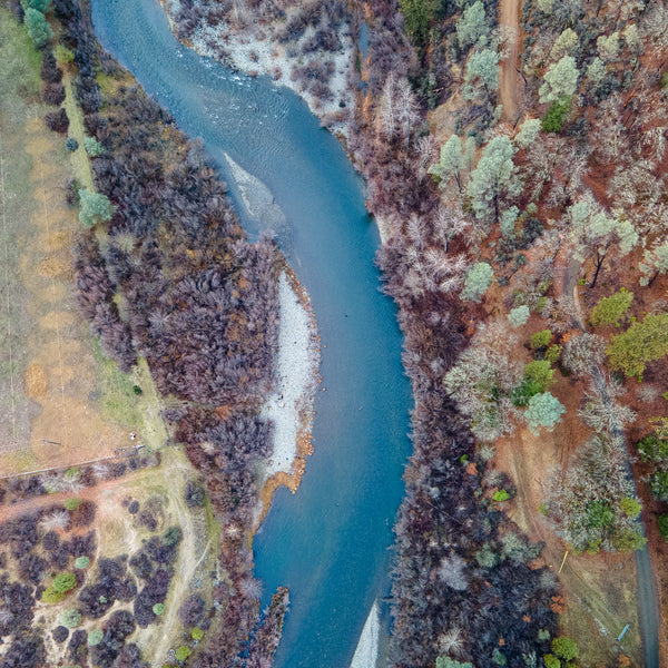 Trinity River Guided Fly Fishing Trips