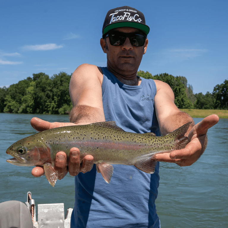 2025 Spring Lower Sac and Middle Fork Feather River Fly Fishing