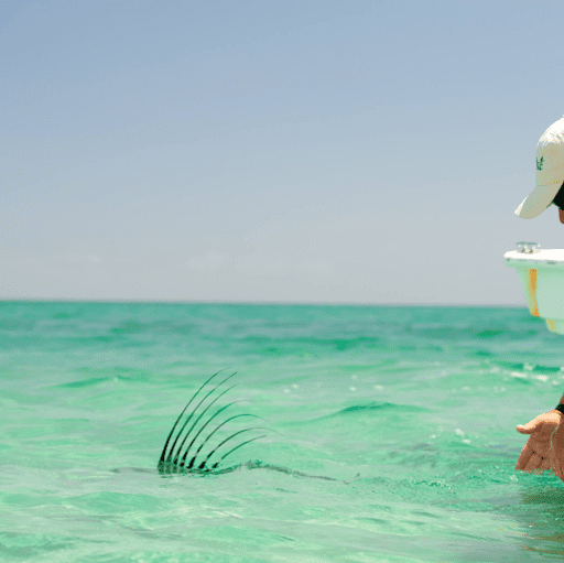 East Cape Baja CA fly fishing with Taco Fly Co