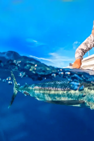Fly Fishing Bafa Cali with Taco Fly Co