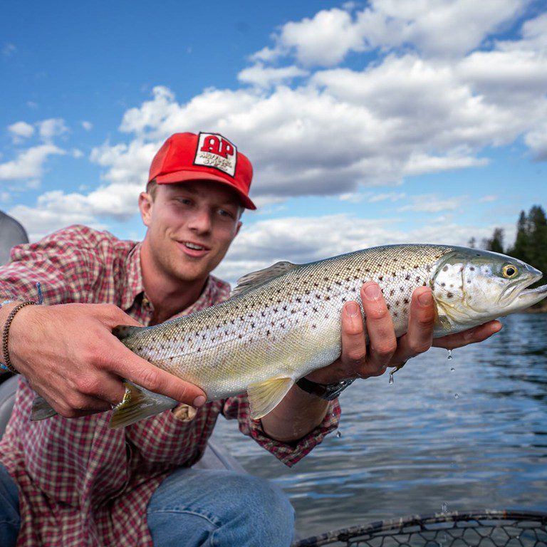 Lake Almanor Fly Fishing Trip