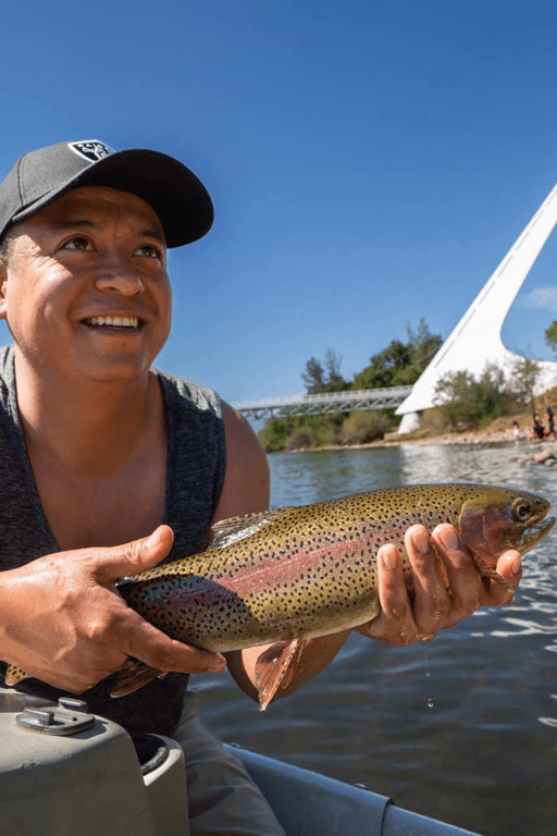 Lower Sacramento River Guided Fly Fishing Trip