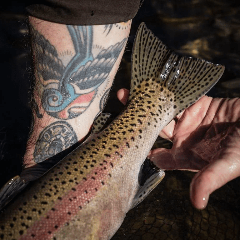 Trinity River Guided Fly Fishing Trips