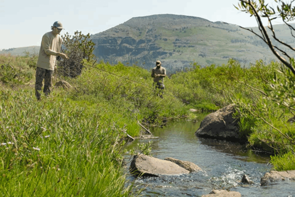Searching the Sierras for Taco Stands...and fishing for LCT's too