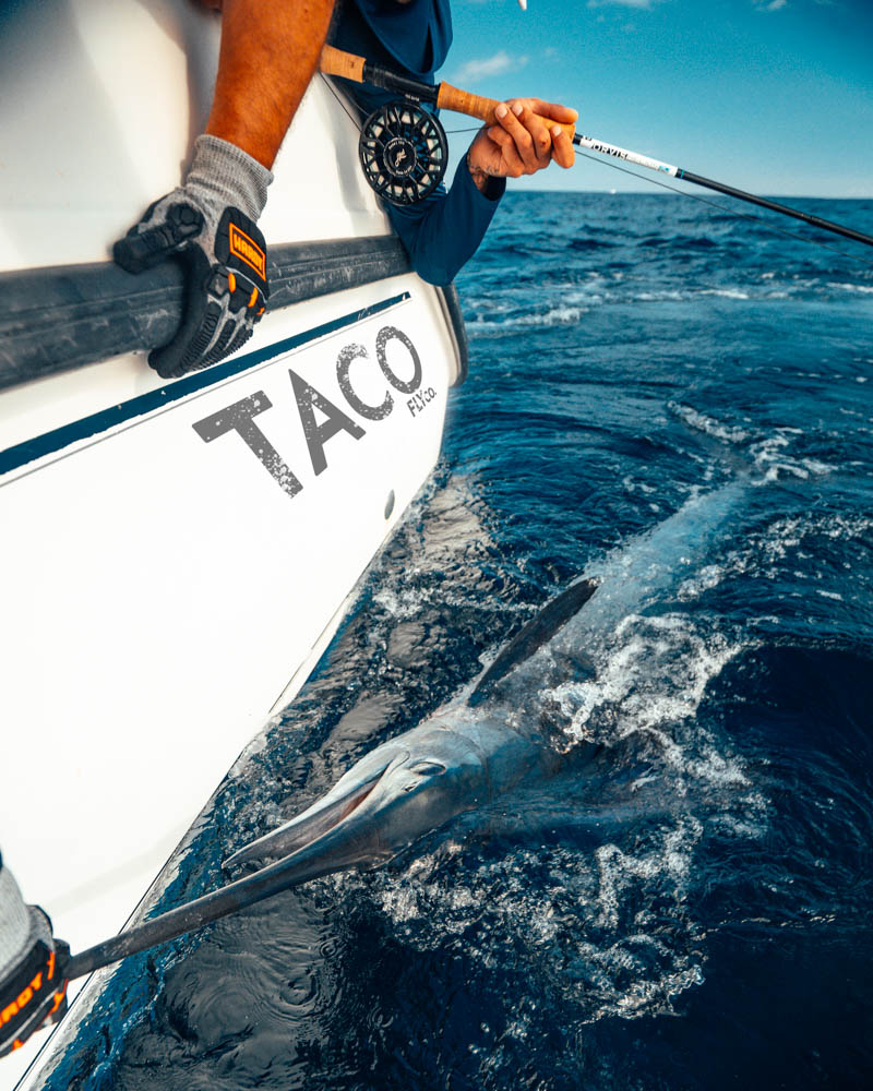 taco fly co mag bay