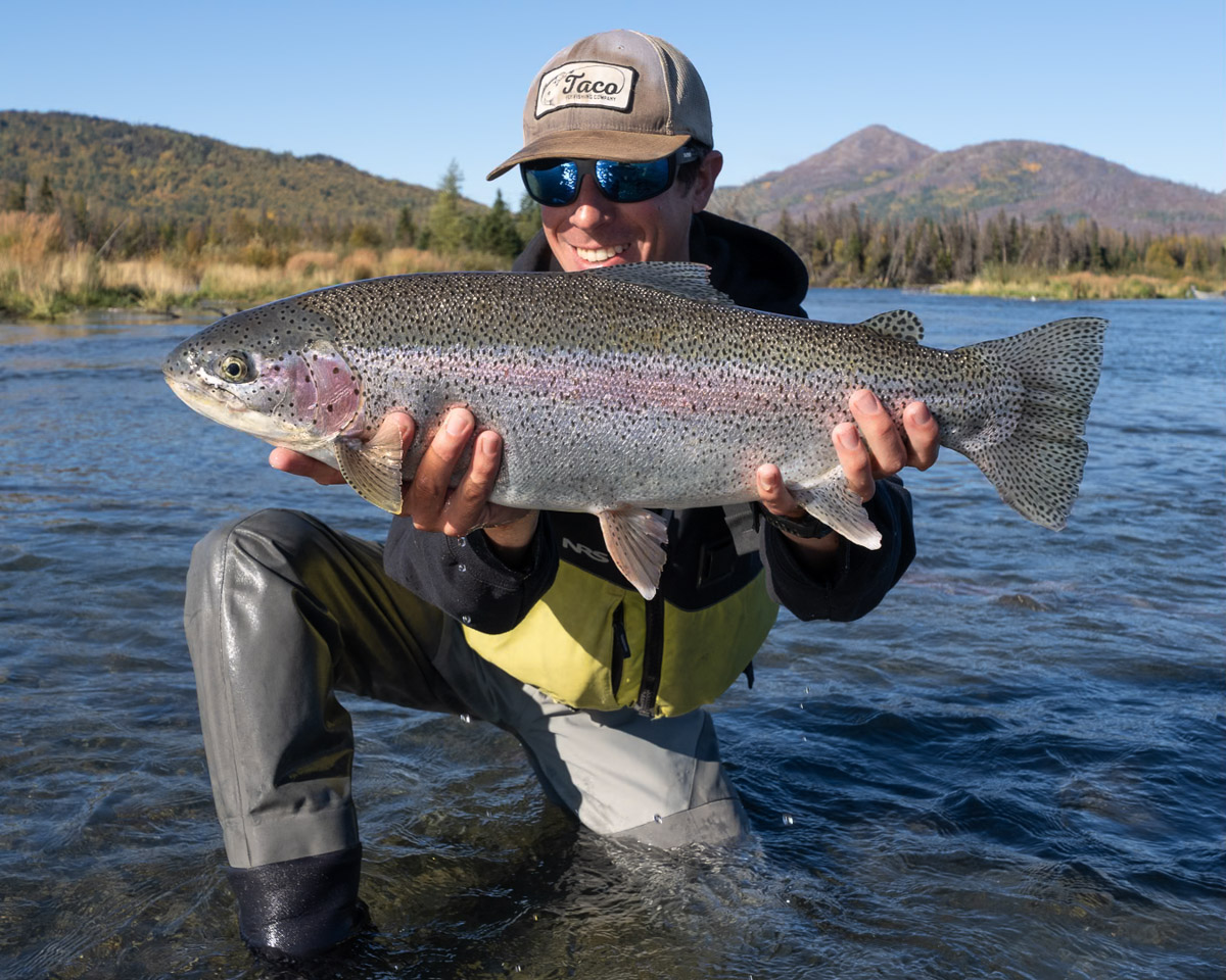 Kenai River Rainbow Trout