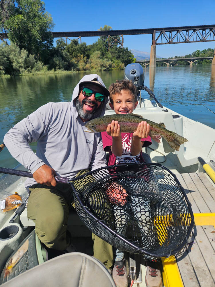 Lower Sacramento River Rainbow Trout
