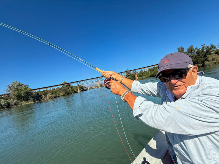Lake Redding California Rainbow Trout