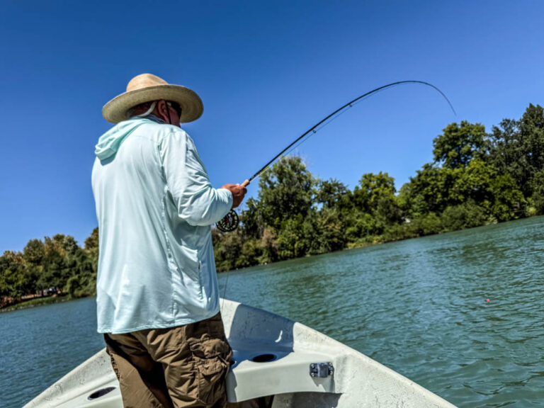 Lower Sacramento River Fly Fishing