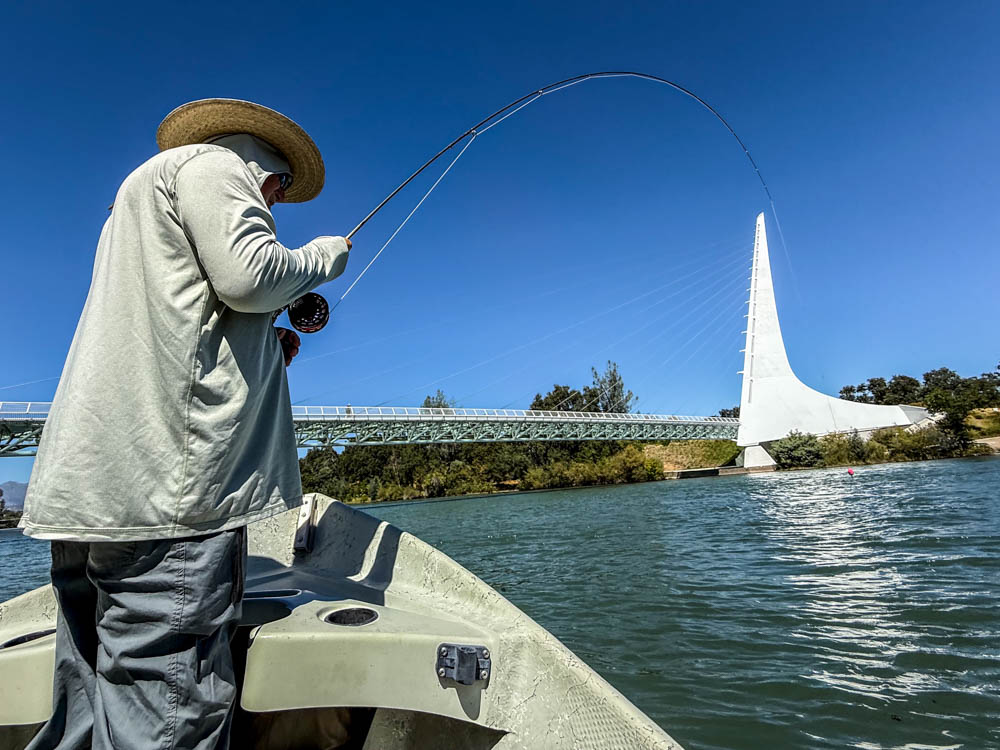 Lower Sacramento River Hook up at Sundial Bridge Redding