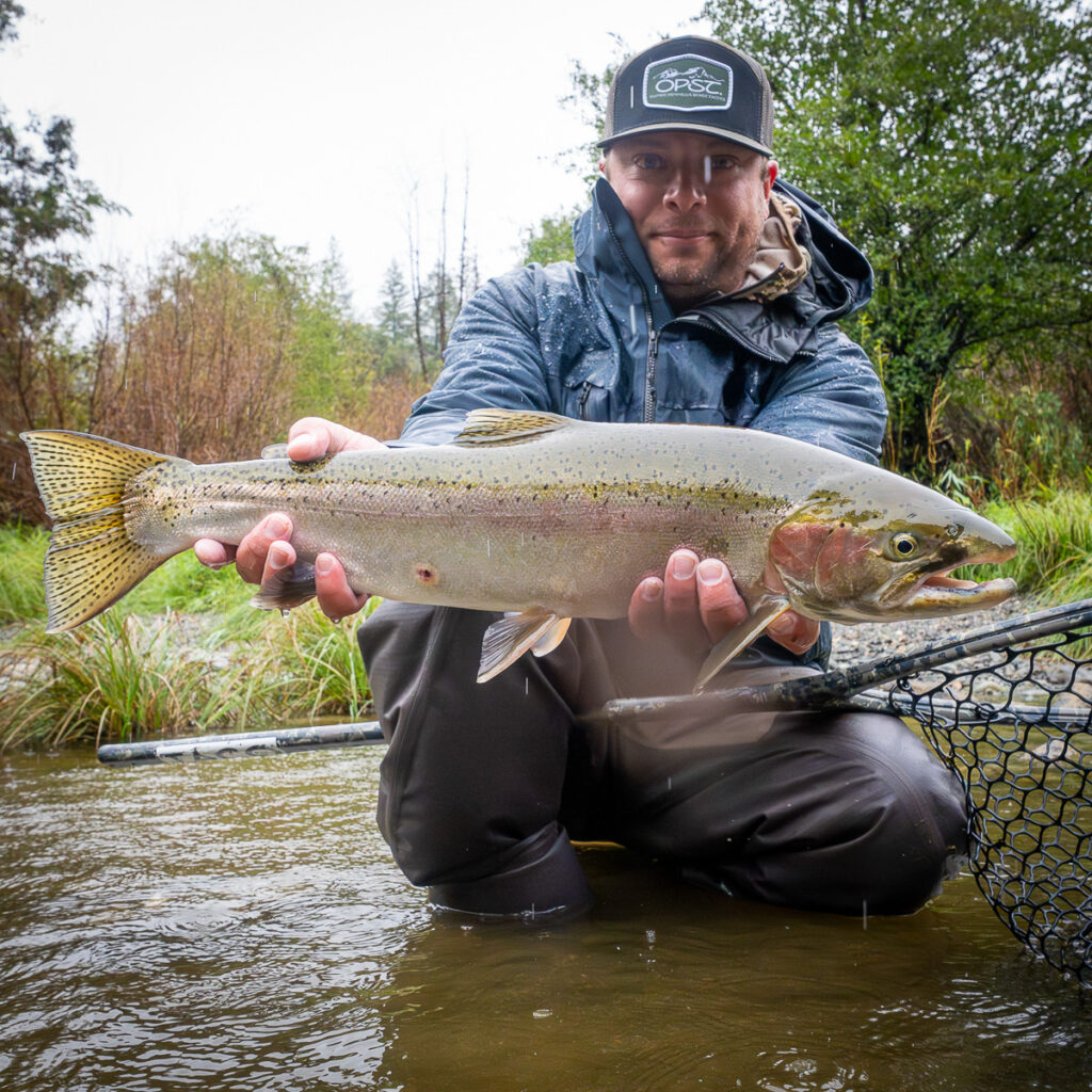 Trinity River Steelhead