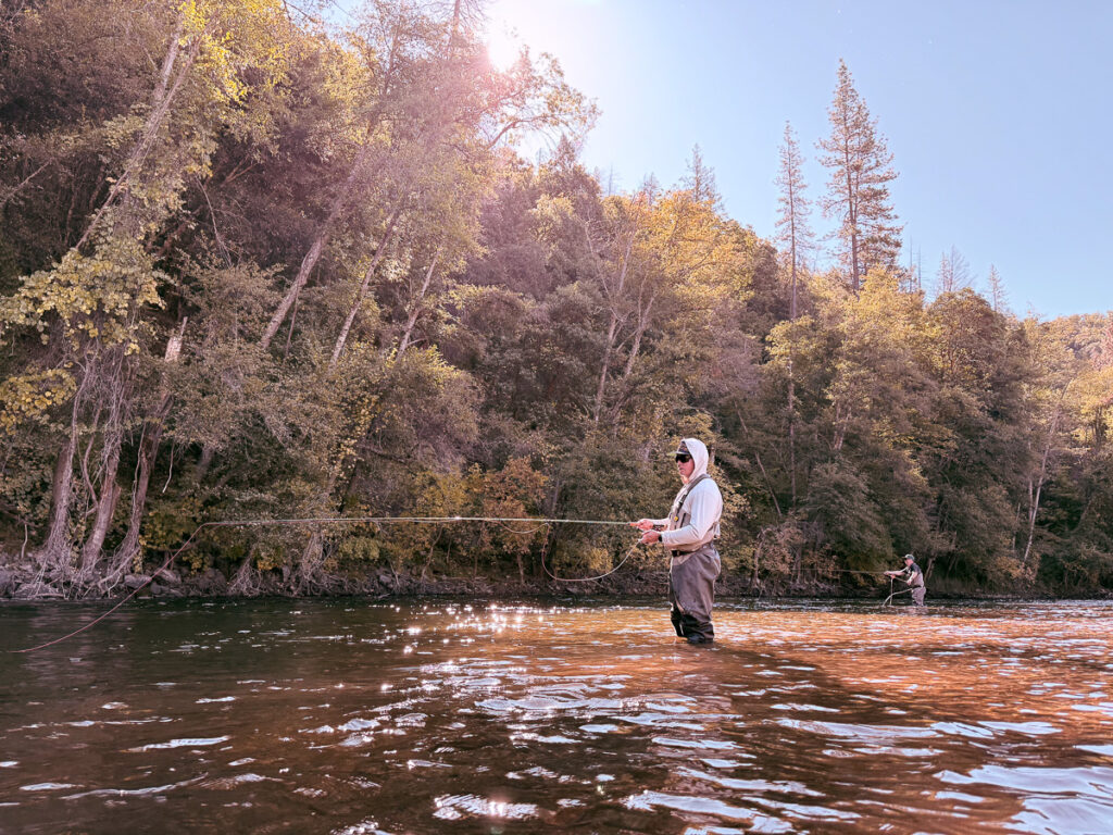 Trinity River Fall Run