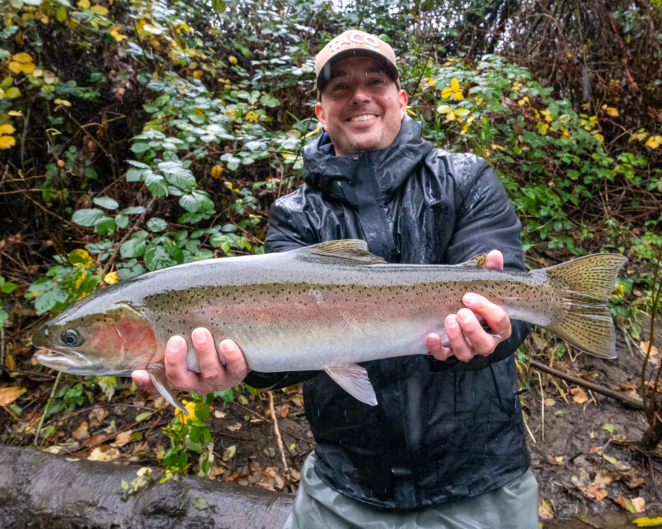 Trinity River Fall Run Steelhead