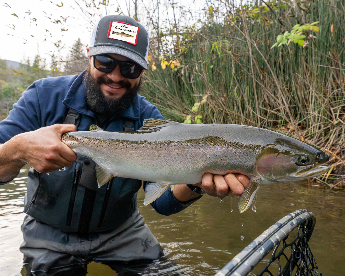 Wild Trinity River Steelhead
