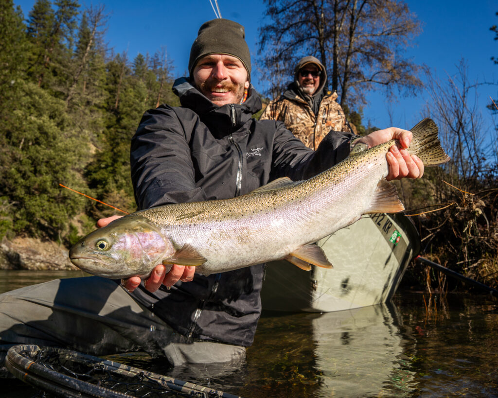 Steelhead on the Trinity River