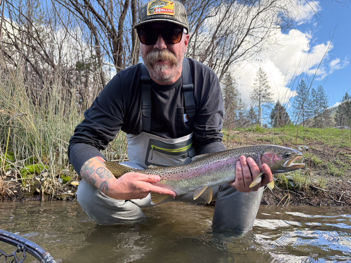 Steelhead