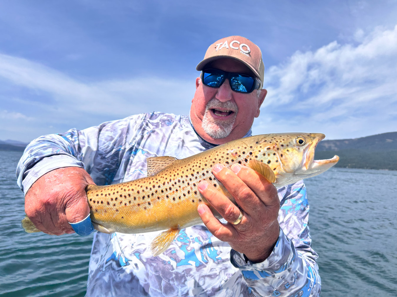 brown trout