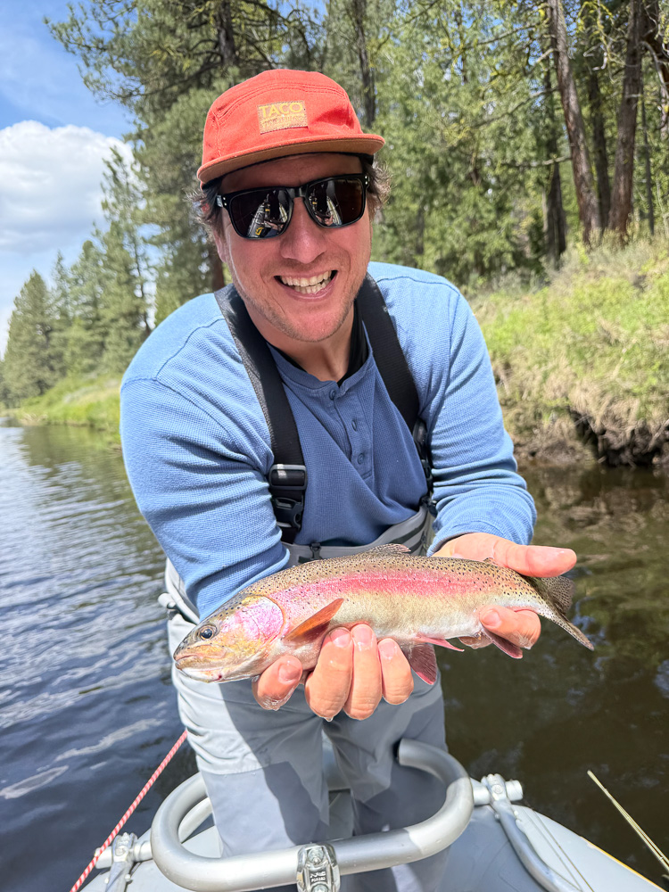 Rainbow trout